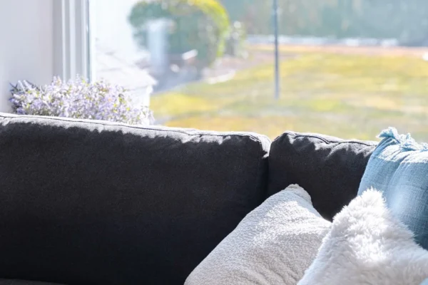 bff2d32d-d6a6-4b7e-bc40-5906a3a4b79b