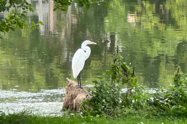 f3b7745c-26eb-476f-a4dd-370ce91a0afa